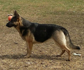 Enlarge photo 45