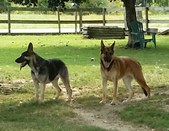 Enlarge photo 59