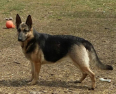 Enlarge photo 43
