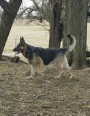 Enlarge photo 24