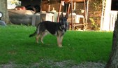 Enlarge photo 120