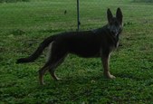 Enlarge photo 118