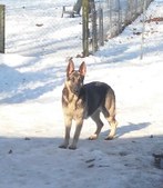 Enlarge photo 113