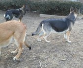 Enlarge photo 102