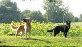 Enlarge photo 129