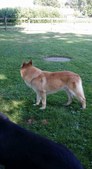 Enlarge photo 146