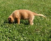 Enlarge photo 266
