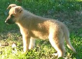 Enlarge photo 256