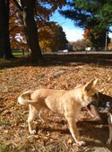 Enlarge photo 230