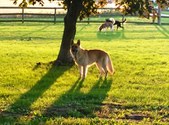 Enlarge photo 189