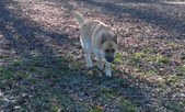 Enlarge photo 179