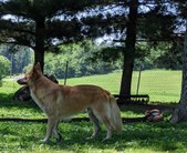 Enlarge photo 77