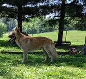 Enlarge photo 76
