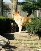 Enlarge photo 89