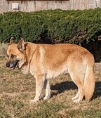 Enlarge photo 26
