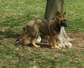 Enlarge photo 155