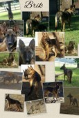Enlarge photo 123