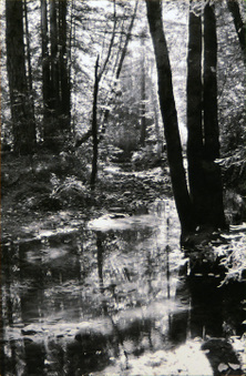 Enlarge photo 47