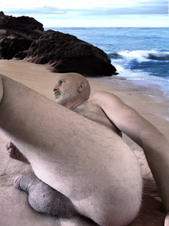 Enlarge photo 185