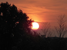 Enlarge photo 123