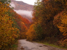 Enlarge photo 21