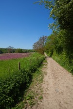 Enlarge photo 23