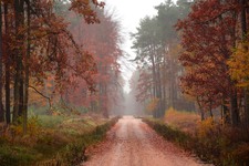 Enlarge photo 28