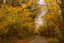 Enlarge photo 29