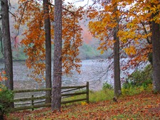 Enlarge photo 33