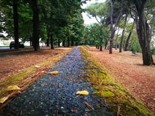 Enlarge photo 34