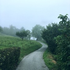 Enlarge photo 35