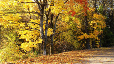 Enlarge photo 36