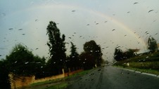 Enlarge photo 38
