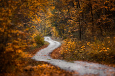 Enlarge photo 42