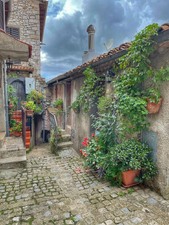 Enlarge photo 48
