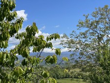 Enlarge photo 49