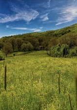 Enlarge photo 50