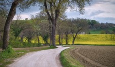 Enlarge photo 51
