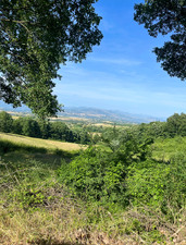 Enlarge photo 54