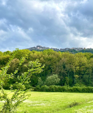 Enlarge photo 55