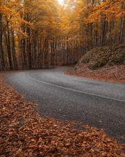 Enlarge photo 58