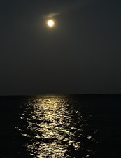 Enlarge photo 60