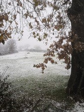 Enlarge photo 69