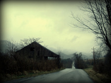 Enlarge photo 67
