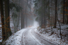 Enlarge photo 68