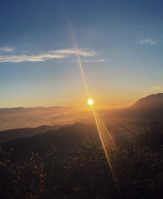 Enlarge photo 71