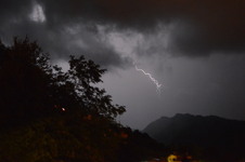 Enlarge photo 74