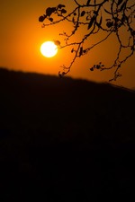 Enlarge photo 75