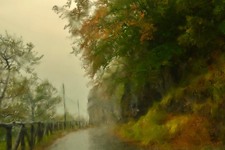 Enlarge photo 77
