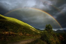 Enlarge photo 79
